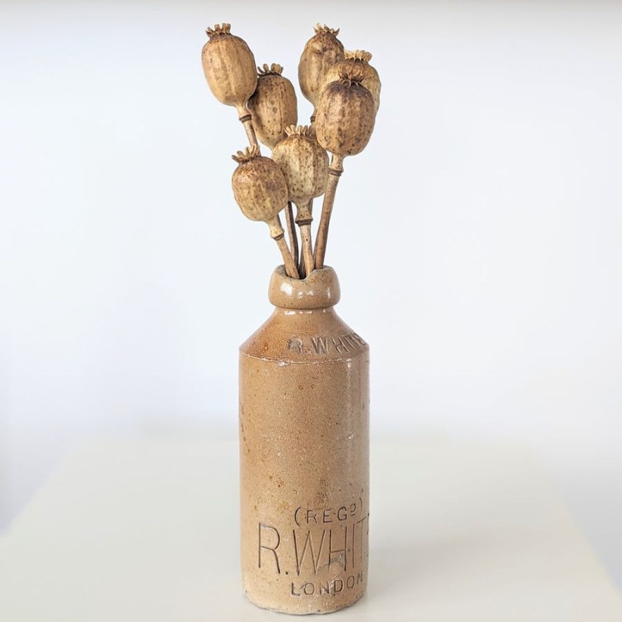 Play Fairplay | Nature'S Treasures - Dried Poppy Seed Shaker