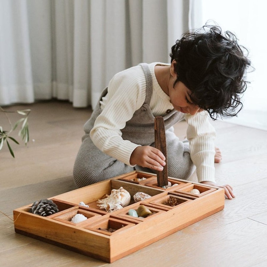 Educational Resources Artisans of Batur Village | Wooden Classification Tray With Tongs