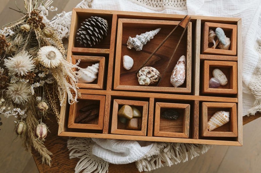 Educational Resources Artisans of Batur Village | Wooden Classification Tray With Tongs