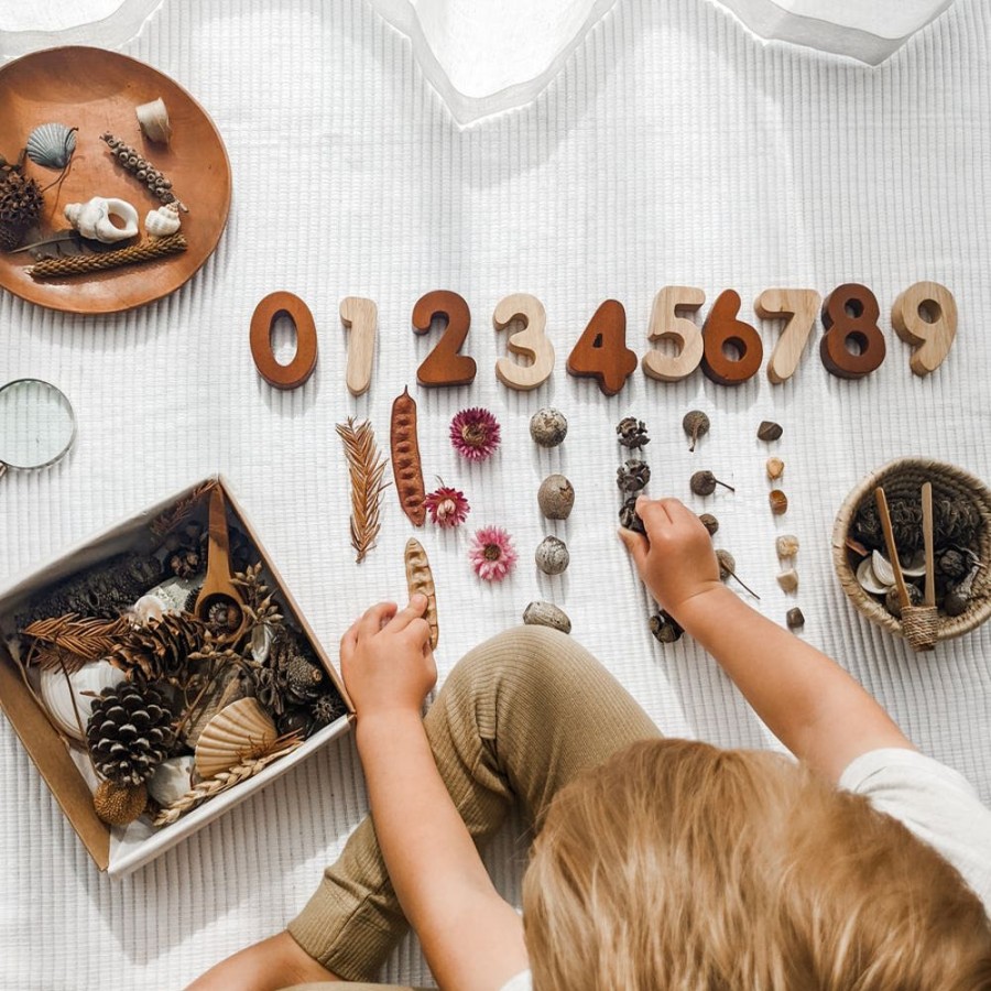 Educational Resources Fairplay | Natural Treasures - Large Sensory Box