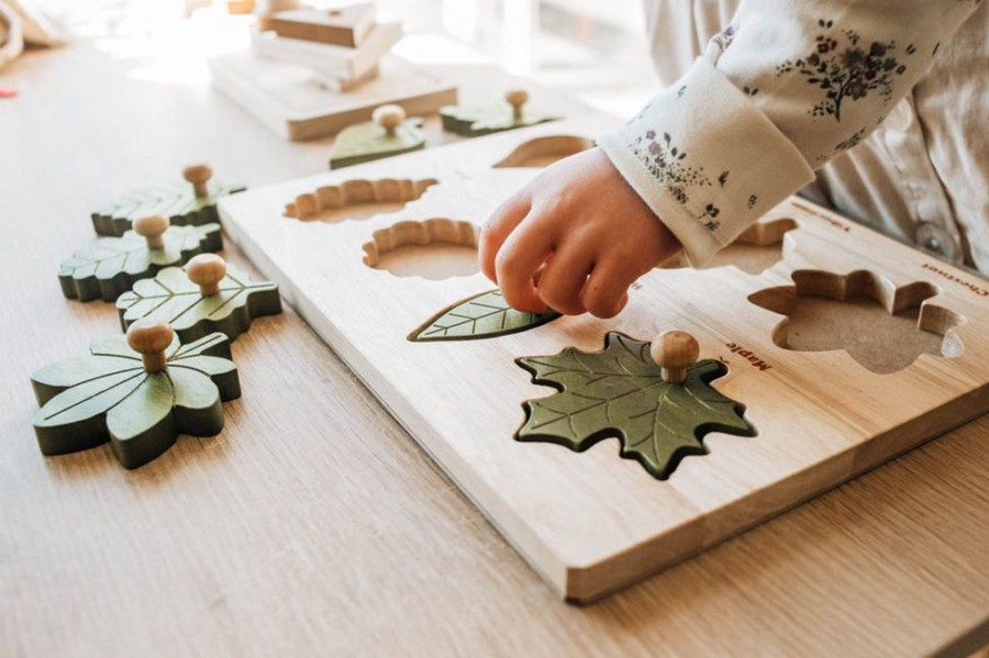 Educational Resources Q Toys | Qtoys | Montessori Wooden Leaf Puzzle