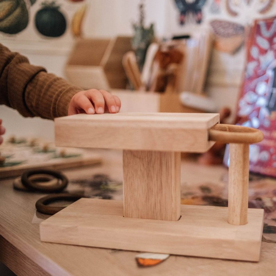 Educational Resources Q Toys | Qtoys | Montessori Rings Set