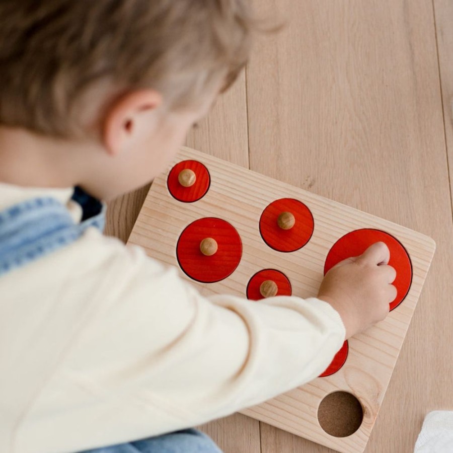 Educational Resources Q Toys | Qtoys | Montessori Circle Size Puzzle