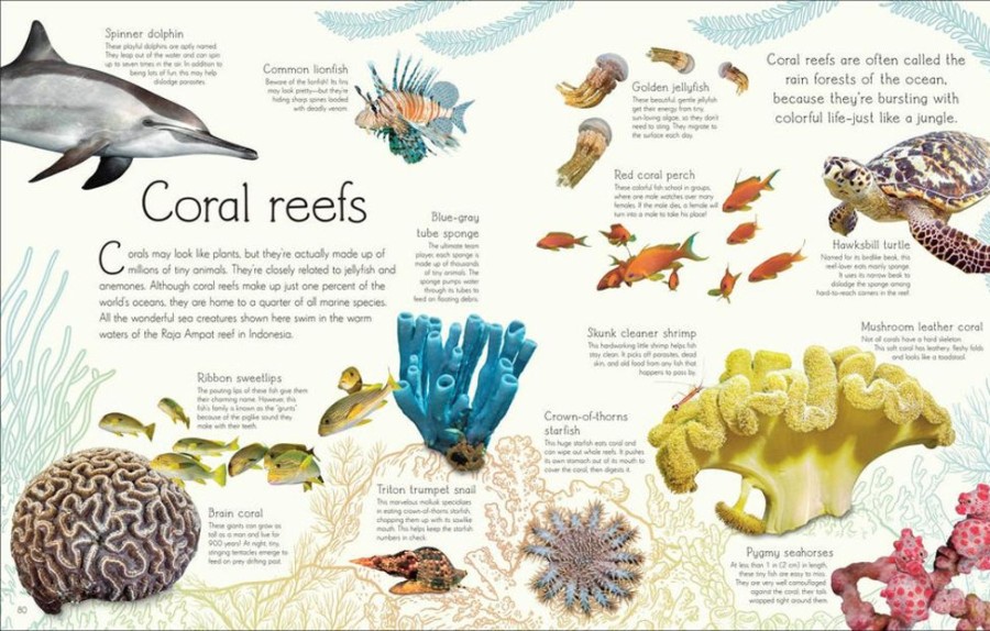 Educational Resources Fairplay | Anthology Of Aquatic Life