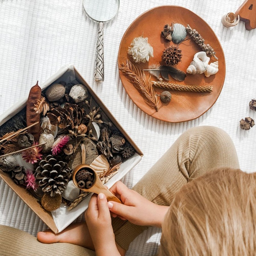 Play Fairplay | Natural Treasures - Large Sensory Box